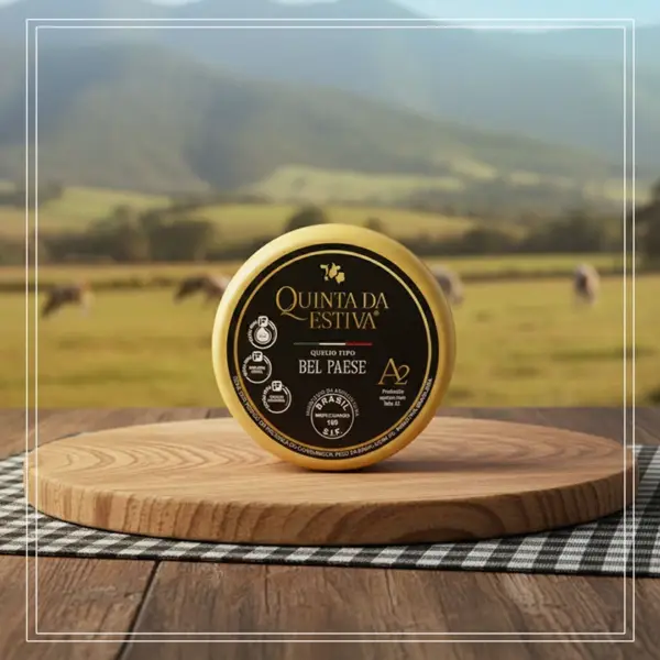 QUEIJO TIPO BEL PAESE A2