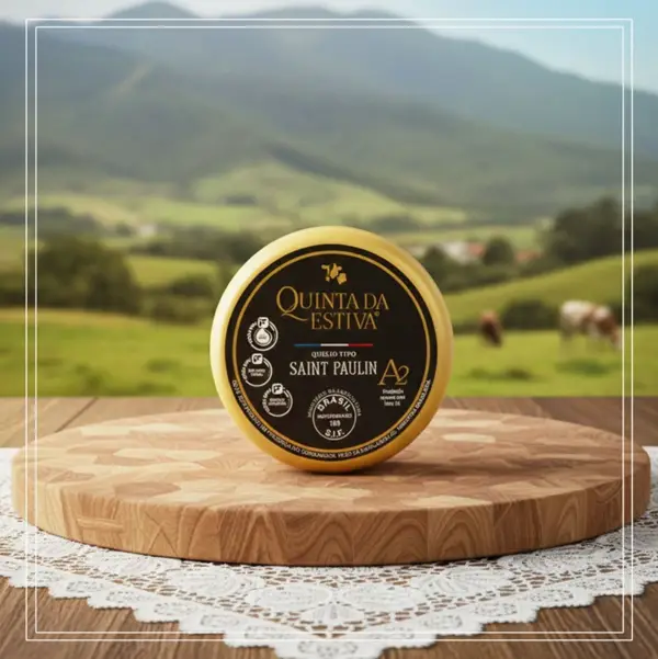 QUEIJO TIPO SAINT PAULIN A2