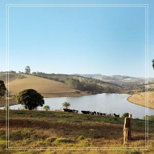 2025_Quinta_da_Estiva_Imagens_Site_Capa_Mantiqueira_1080x1080px_03